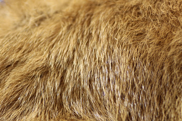 Mink Fur
