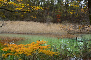 福島県の五色沼の景観