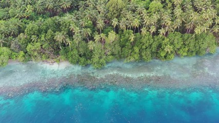Aerial View of Tropical Coastline and Coral Reef in Papua New Guinea