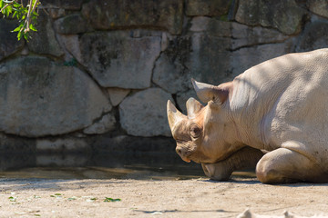 上野動物園