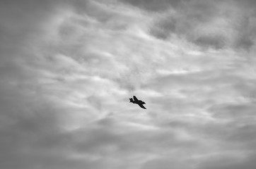 Avion dans les nuages .