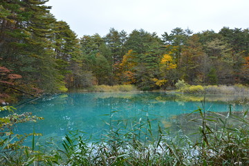 福島県の五色沼の景観