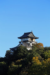 Naklejka premium 晩秋の犬山城