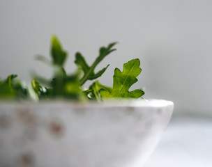 Arugula in craft ceramic boul. Arugula salad close up. Shallow DOF. Copy space for text. Fresh green arugula leaves in bowl on table