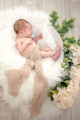 Infant on white fluff in bucket with flowers and green foliage on light wooden floor