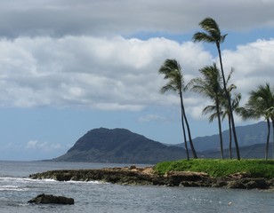 Fototapeta na wymiar Hawaii Mountains, Palm Trees, Ocean