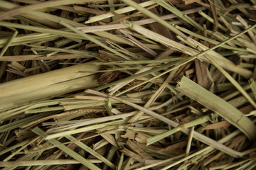 Hay collected in a stack on a clear day close-up from top to bottom