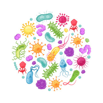 Bacteria germ. Vector stomach viruses biological allergy microbes bacterium epidemiology bacterial infection germs flu diseases vector cells
