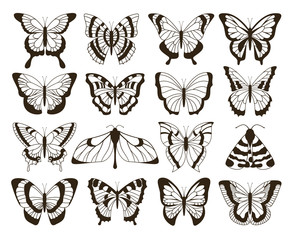 Monochrome butterflies. Black and white drawing, hand drawn tattoo shapes vintage collection. Vector butterfly isolated set