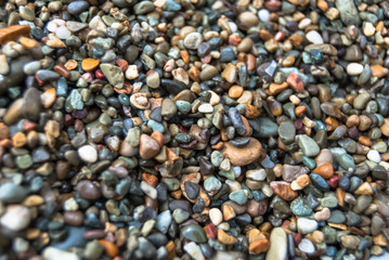 A different color pebble on the beach