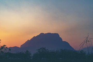 natural scene sunset with mountain and tree, tropical forest