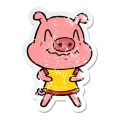 distressed sticker of a nervous cartoon pig