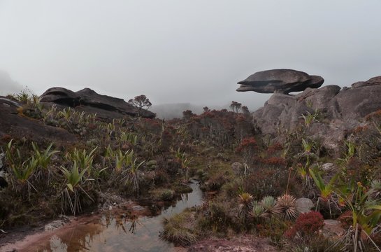 la tortur du Roraima,V&eacute;n&eacute;zuela