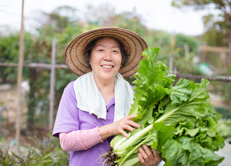 female Senior farmer with vegetables