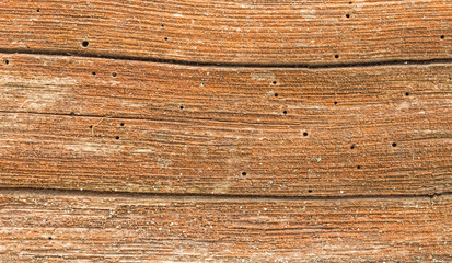 natural backgrounds, texture of old wood oak in nature. 