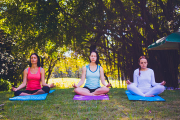 Group people doing yoga in park.They are sitting on mat and doing yoga in morning.they are relax...