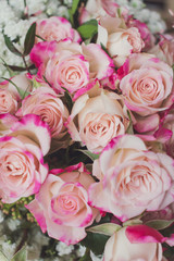 Close up view of beautiful blooming pink roses in a bouquet, floral background, detail