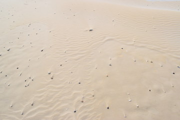 Fototapeta na wymiar Spiaggia estate pietre mare