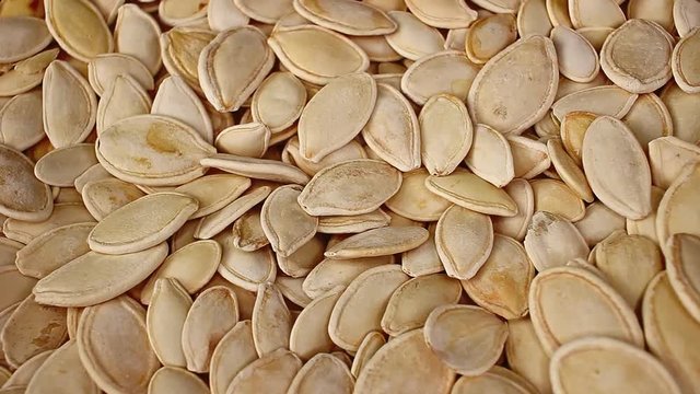 Pumpkin seed seeds closeup texture video on rolling rotating looping plate