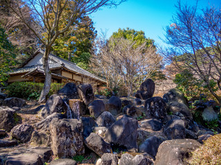 【静岡県伊豆市】日本庭園の夏目漱石記念館【修善寺虹の郷】