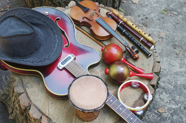 Guitar, violin, maracas, pipes, djembe, cowboy hat in nature