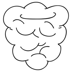 quirky line drawing cartoon raspberry
