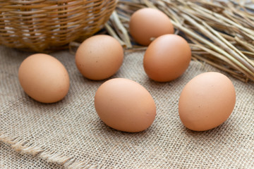 closeup egg on sack with soft-focus and over light in the background