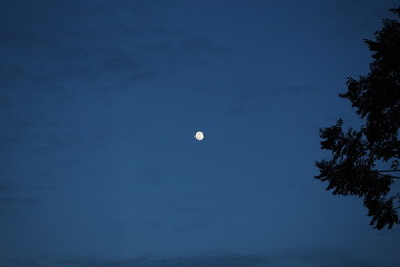 moon thru window