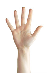 Open hand of young woman