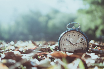 Selective focus of alarm clock with nature background.