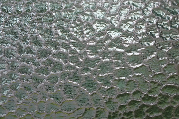 Green and White Frosted Glass Window Texture