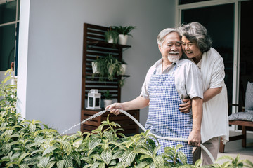 Elderly couple watering a flower in home garden