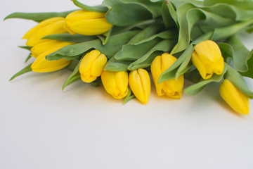 Obraz premium Bouquet of yellow tulips on a white background