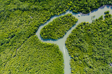 View from above, stunning aerial view of a river flowing through a green tropical forest, it discharges into the Andaman sea. Phang Nga Bay, Phuket, Thailand.