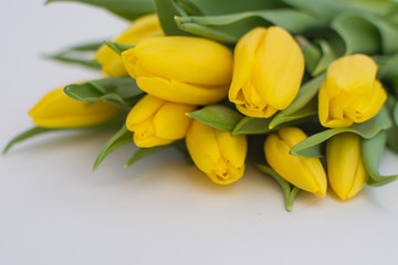 Obraz premium Bouquet of yellow tulips on a white background