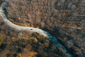 Forest view from above