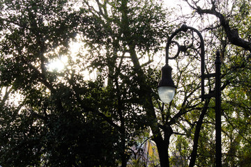 light pole in the park