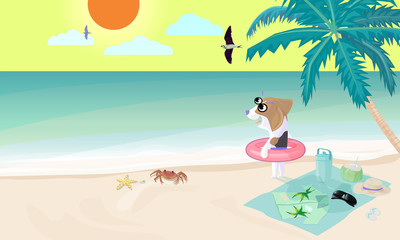 Beagle dog wear swim ring on beach prepare to play water in sea.