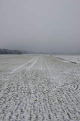 empty textured field in winter countryside