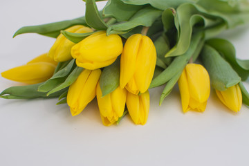 Obraz premium Bouquet of yellow tulips on a white background
