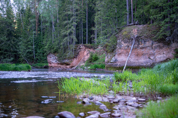 sunrise over the forest river in woods, early light