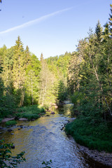 Fototapeta premium sunrise over the forest river in woods, early light
