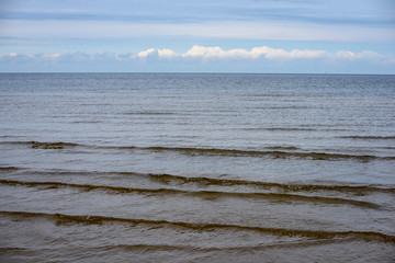 Obraz premium flock of birds resting near water on the beach