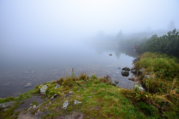 tourist hiking trail in foggy misty day with rain