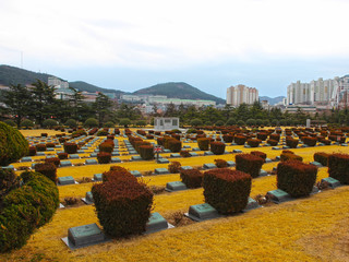 Scenery of UN Memorial Cemetary in Busan, South Korea, Asia