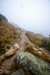 tourist hiking trail in foggy misty day with rain
