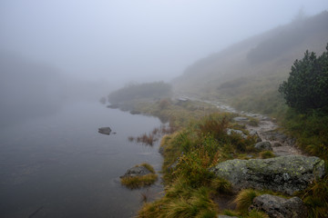 Fototapeta na wymiar tourist hiking trail in foggy misty day with rain