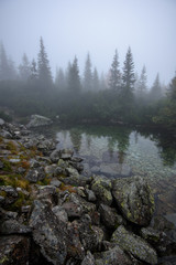 tourist hiking trail in foggy misty day with rain