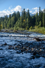 fast mountain rocky river in forest with waterfall