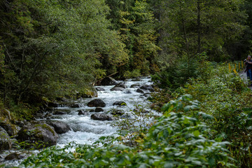 Fototapeta na wymiar fast mountain rocky river in forest with waterfall